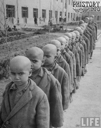 Лысые иранские дети в очереди в реабилитационный центр. Тегеран. Шаханшахское Государство Иран. 1950-е года.