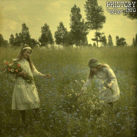 Девочки, собирающие цветы на васильковом поле. 